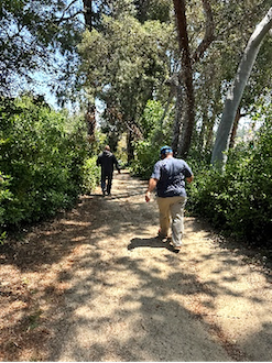 man on walk amongst trees