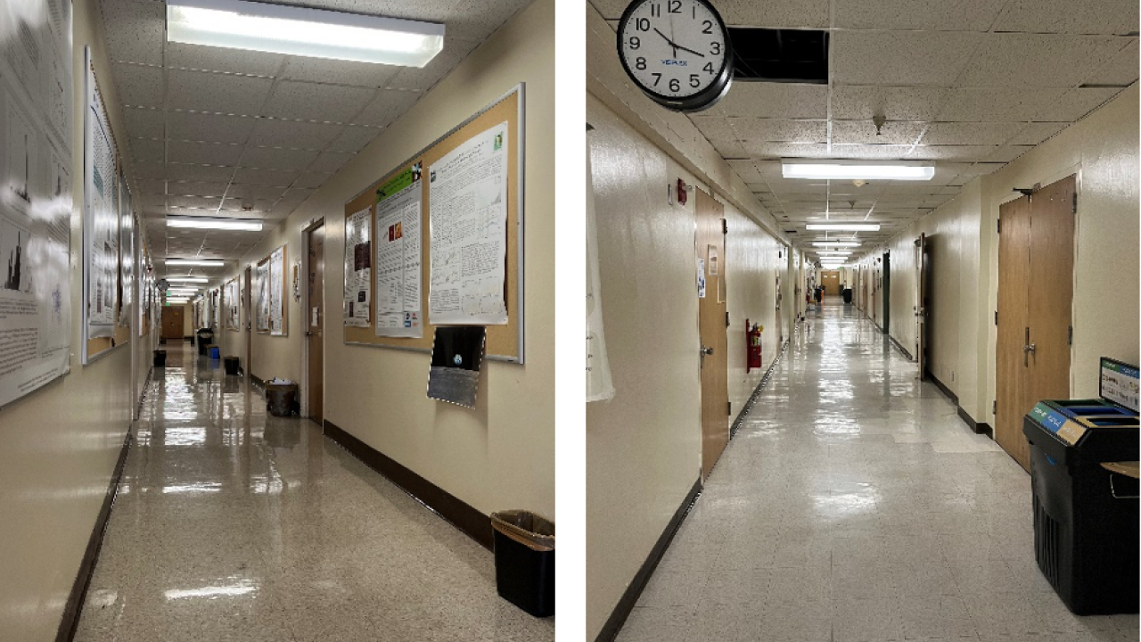 Before (left) and after (right) of a hallway in Knudsen Hall.