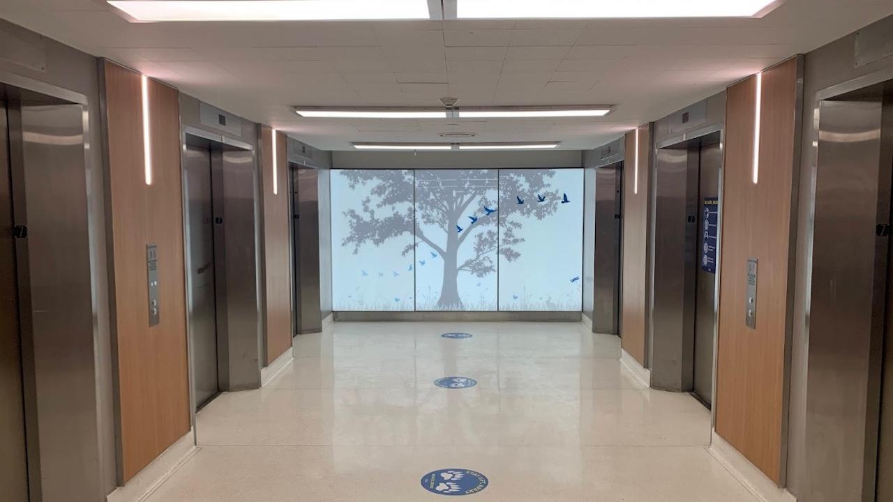 NPI 7th floor elevator lobby